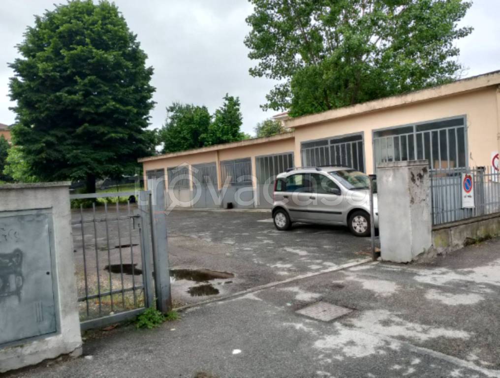 immagine annuncio 3 di 11