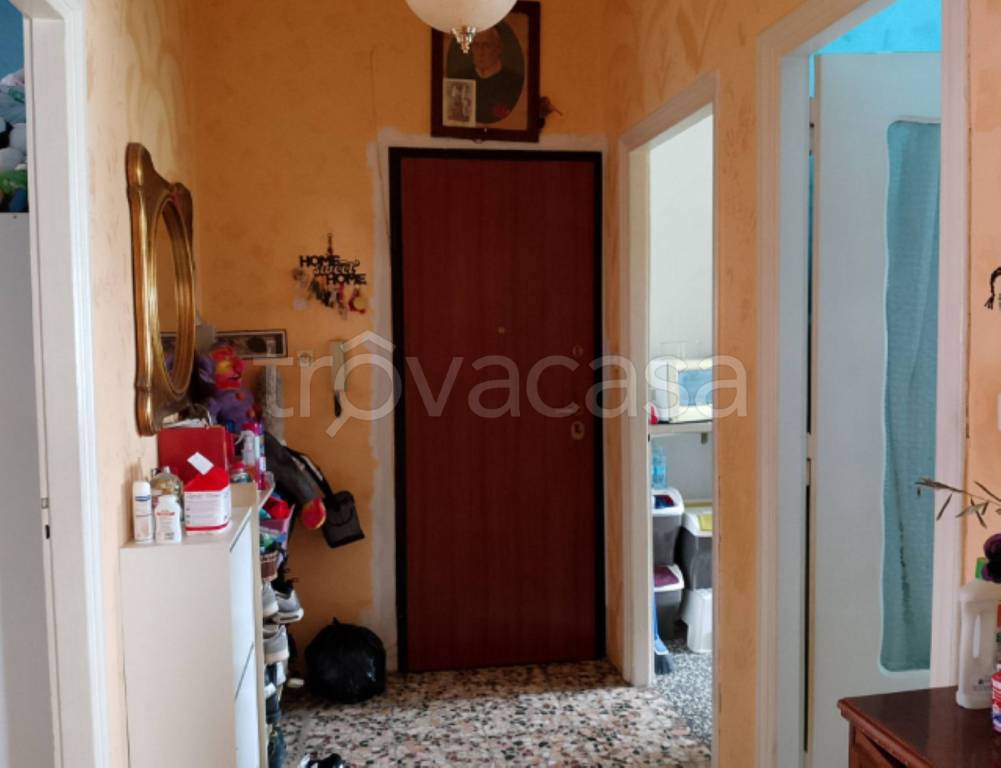 immagine annuncio 7 di 11