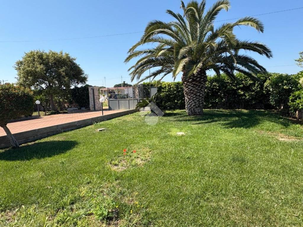 immagine annuncio 4 di 14