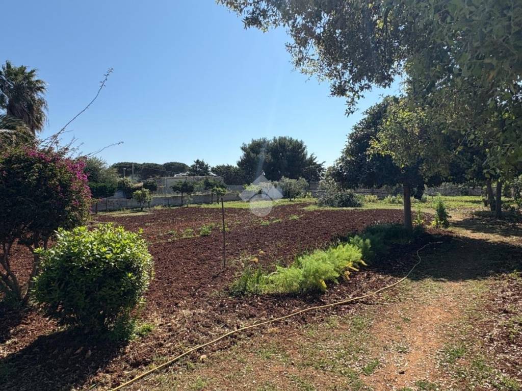 immagine annuncio 8 di 14