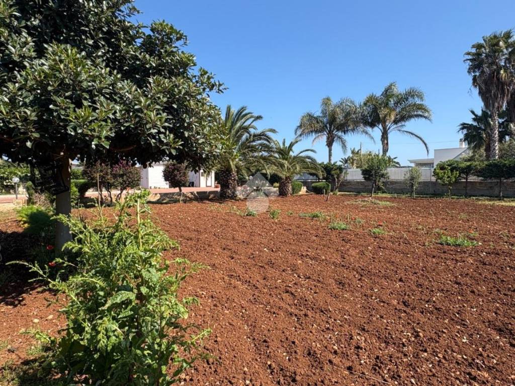 immagine annuncio 11 di 14