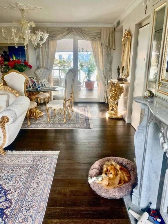 immagine annuncio 11 di 14