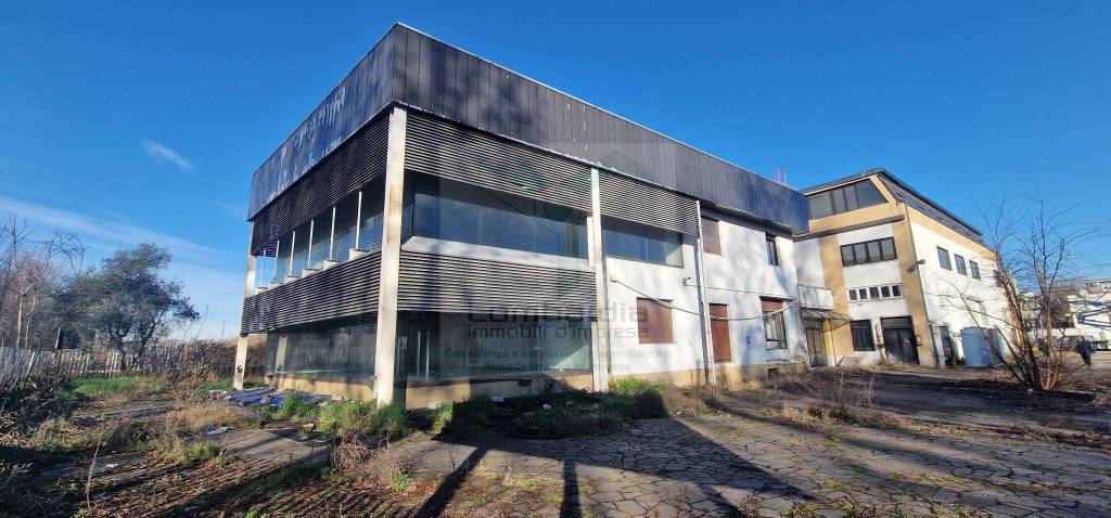 immagine annuncio 14 di 15