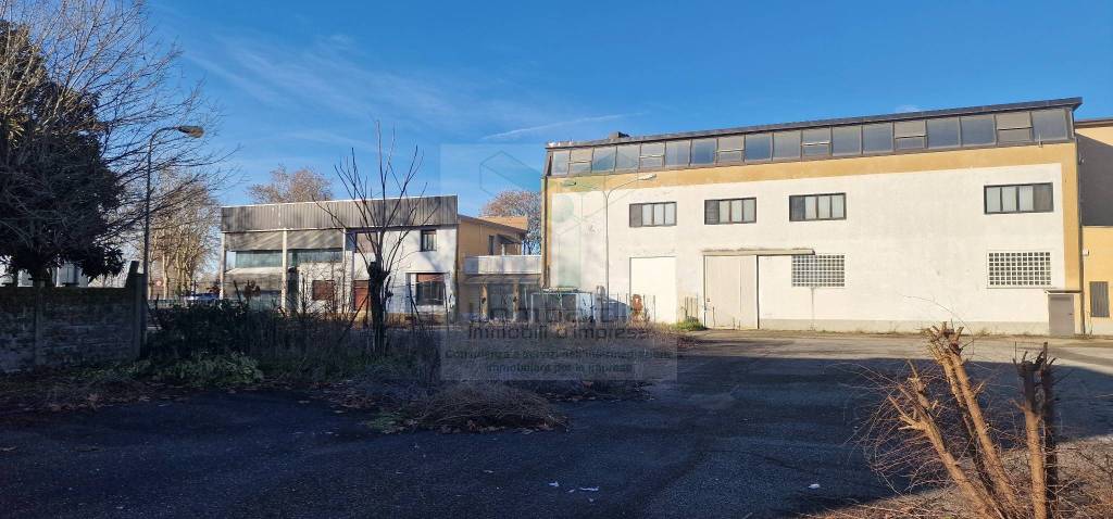 immagine annuncio 2 di 15