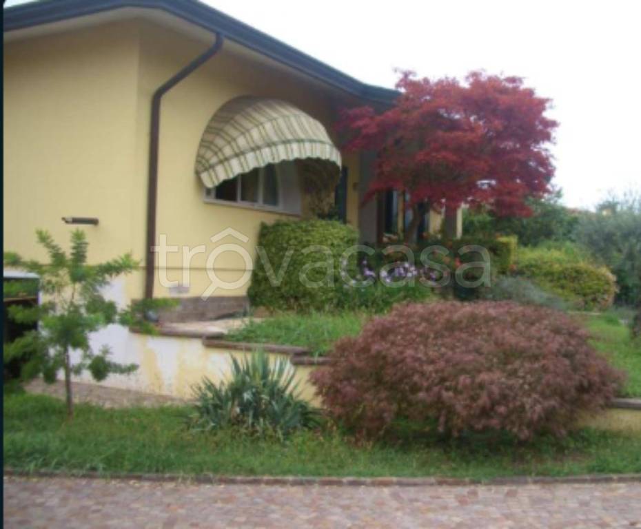 immagine annuncio 4 di 11