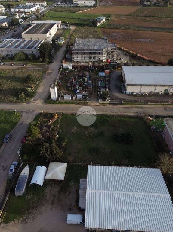 immagine annuncio 13 di 14