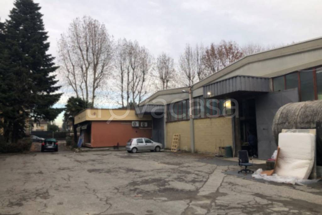 immagine annuncio 1 di 12