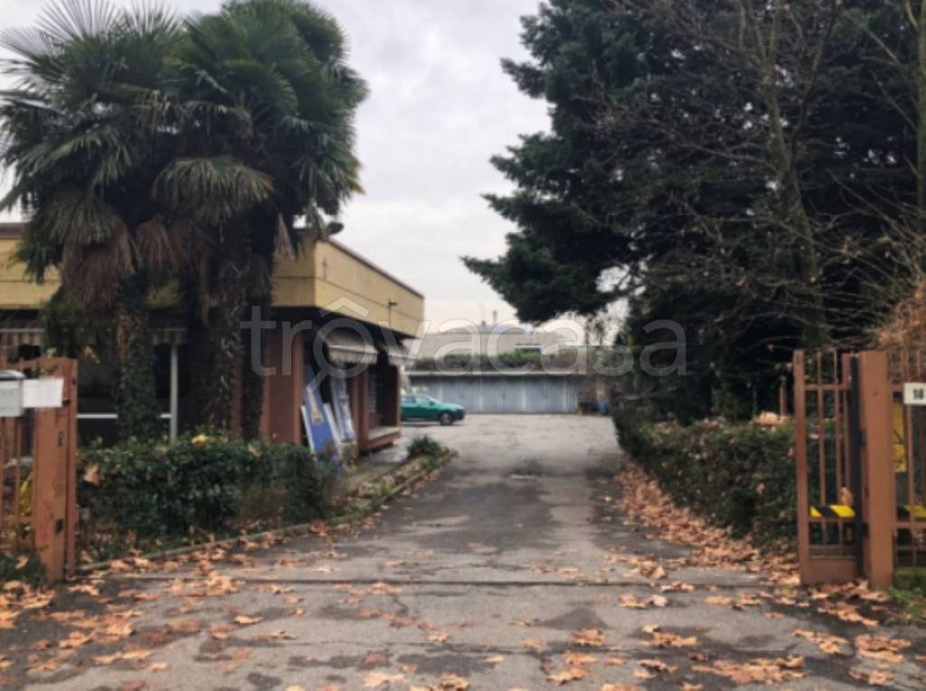 immagine annuncio 4 di 12