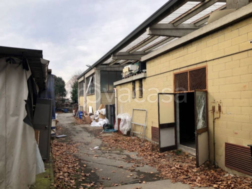 immagine annuncio 5 di 12