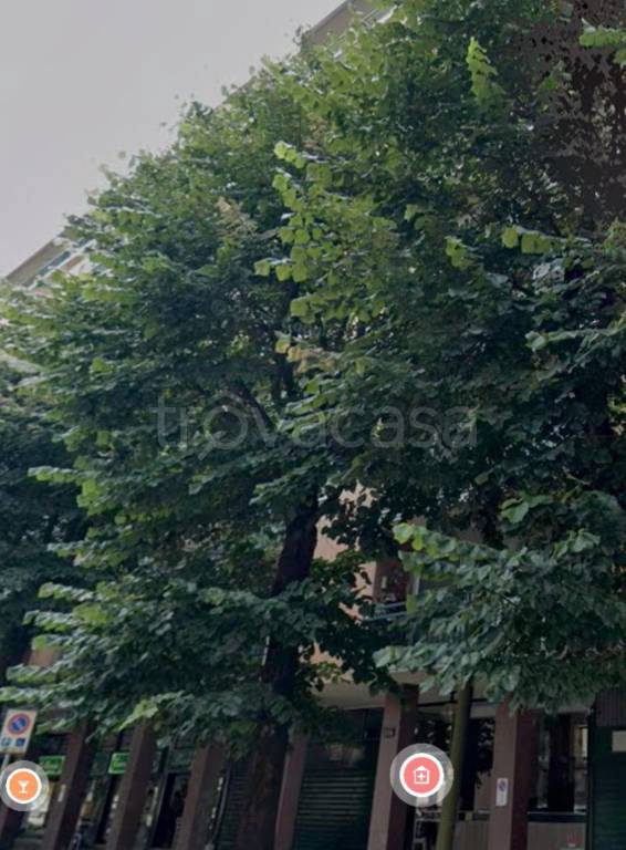 immagine annuncio 2 di 11