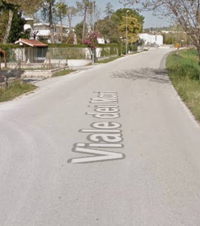 immagine annuncio 7 di 12