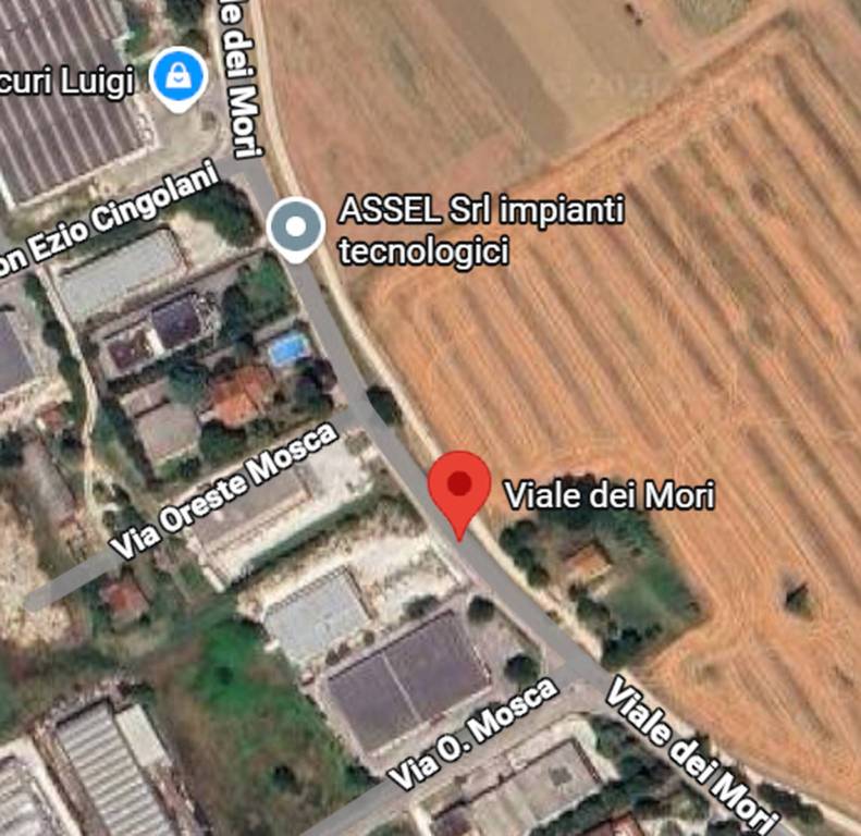 immagine annuncio 8 di 12