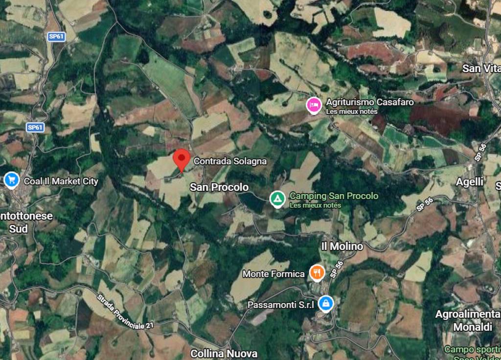 immagine annuncio 1 di 10