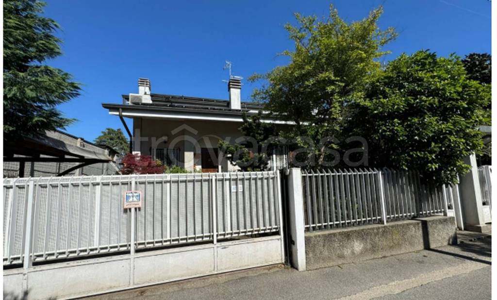 immagine annuncio 1 di 12