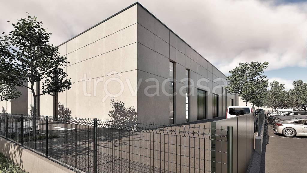 immagine annuncio 2 di 15