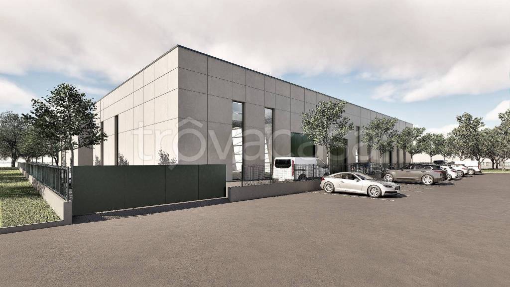 immagine annuncio 3 di 15