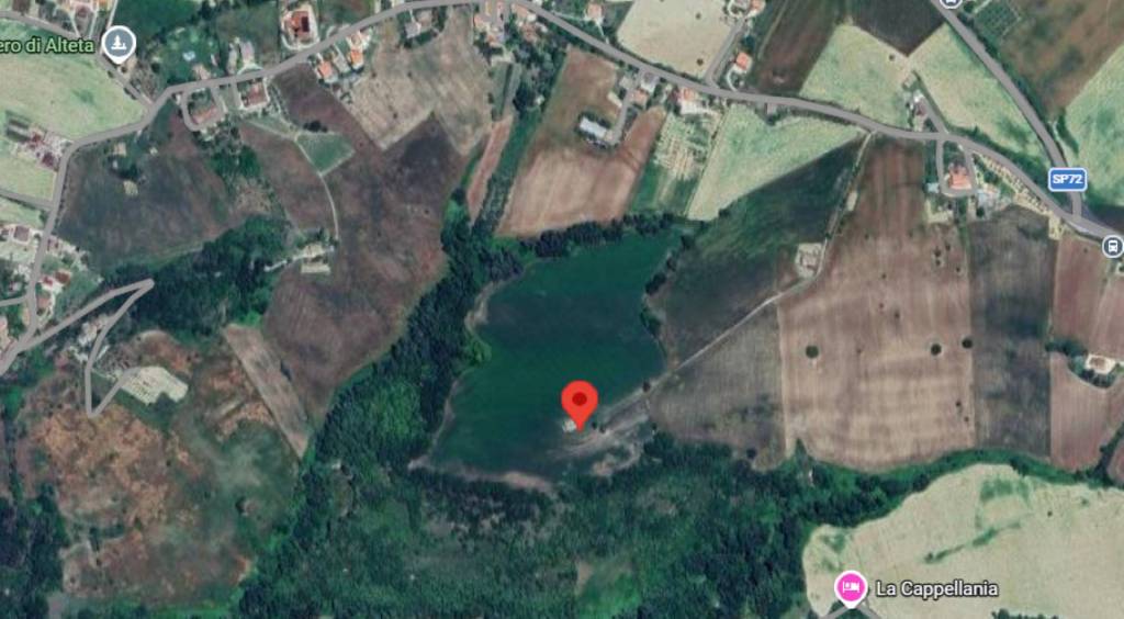 immagine annuncio 9 di 12