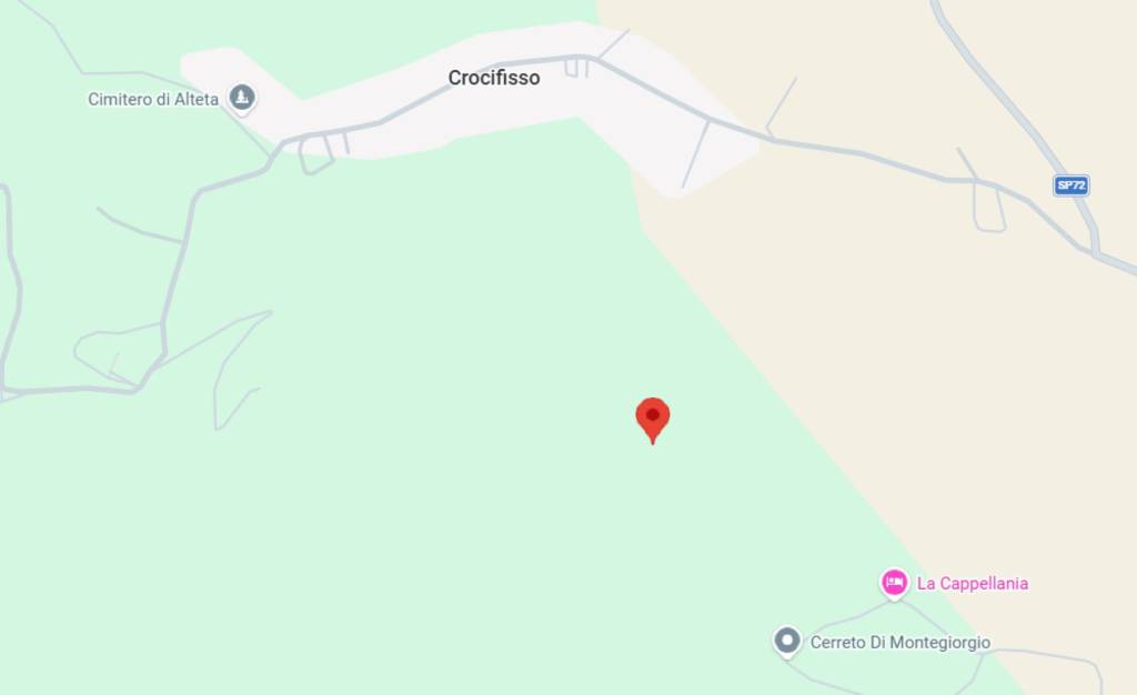 immagine annuncio 10 di 12