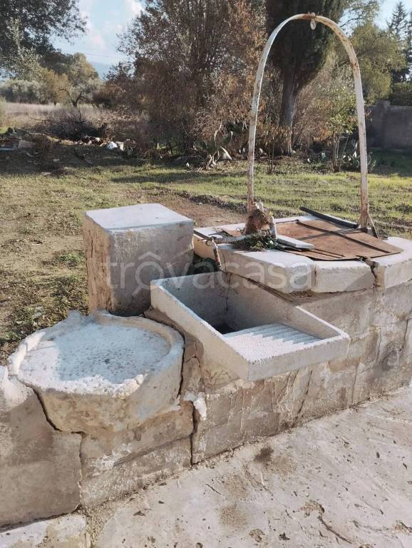 immagine annuncio 5 di 13