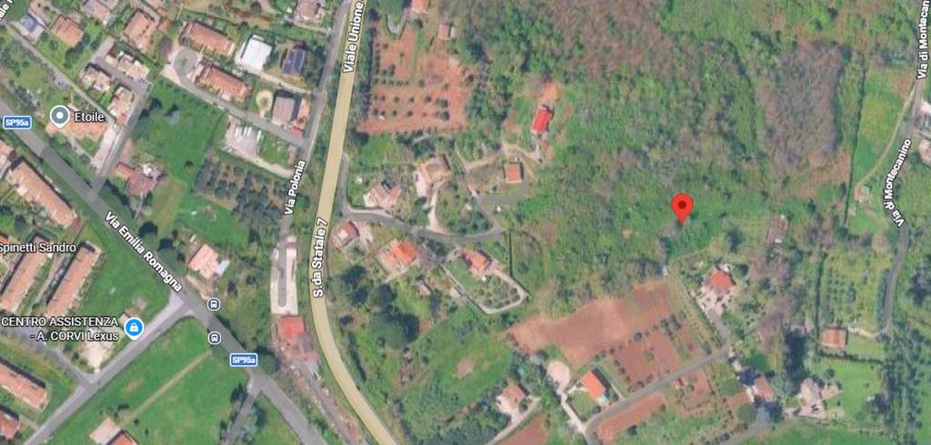 immagine annuncio 5 di 11