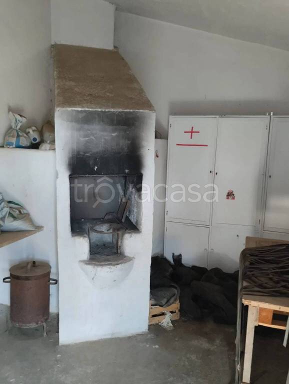 immagine annuncio 10 di 13