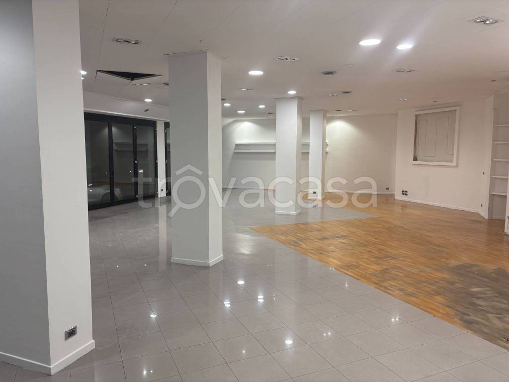 immagine annuncio 5 di 14