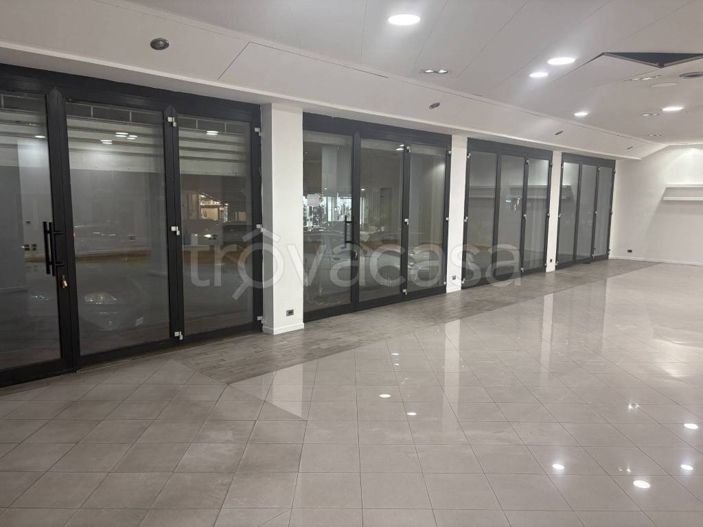 immagine annuncio 7 di 14