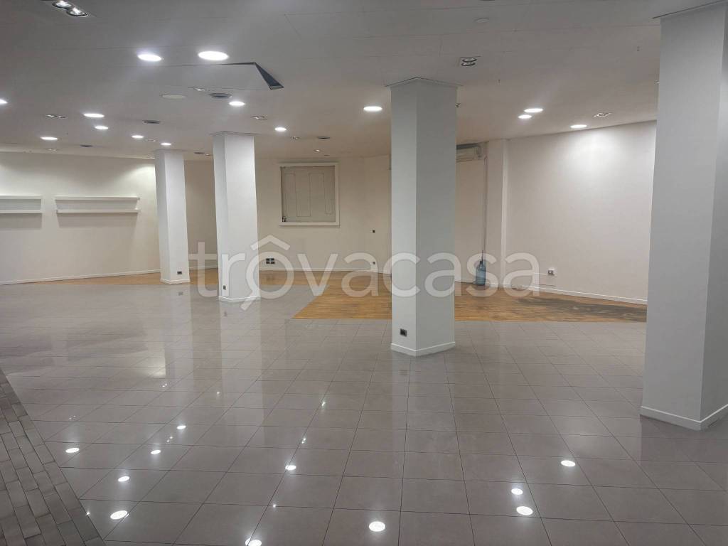 immagine annuncio 10 di 14