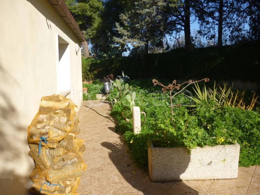 immagine annuncio 4 di 8