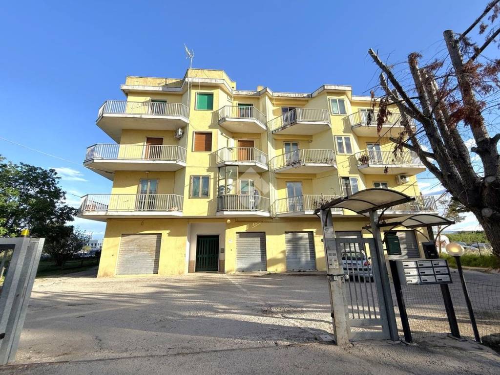 immagine annuncio 7 di 13