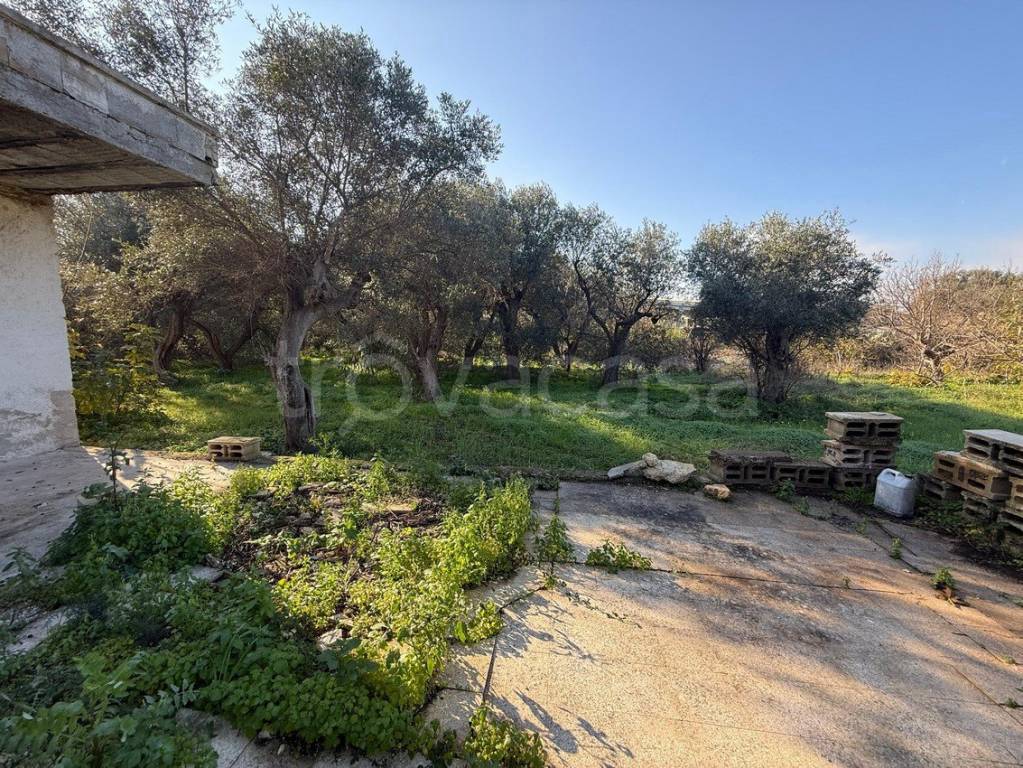 immagine annuncio 1 di 6