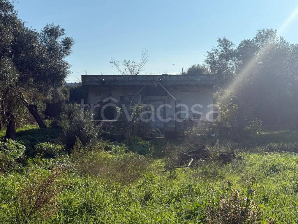 immagine annuncio 3 di 6