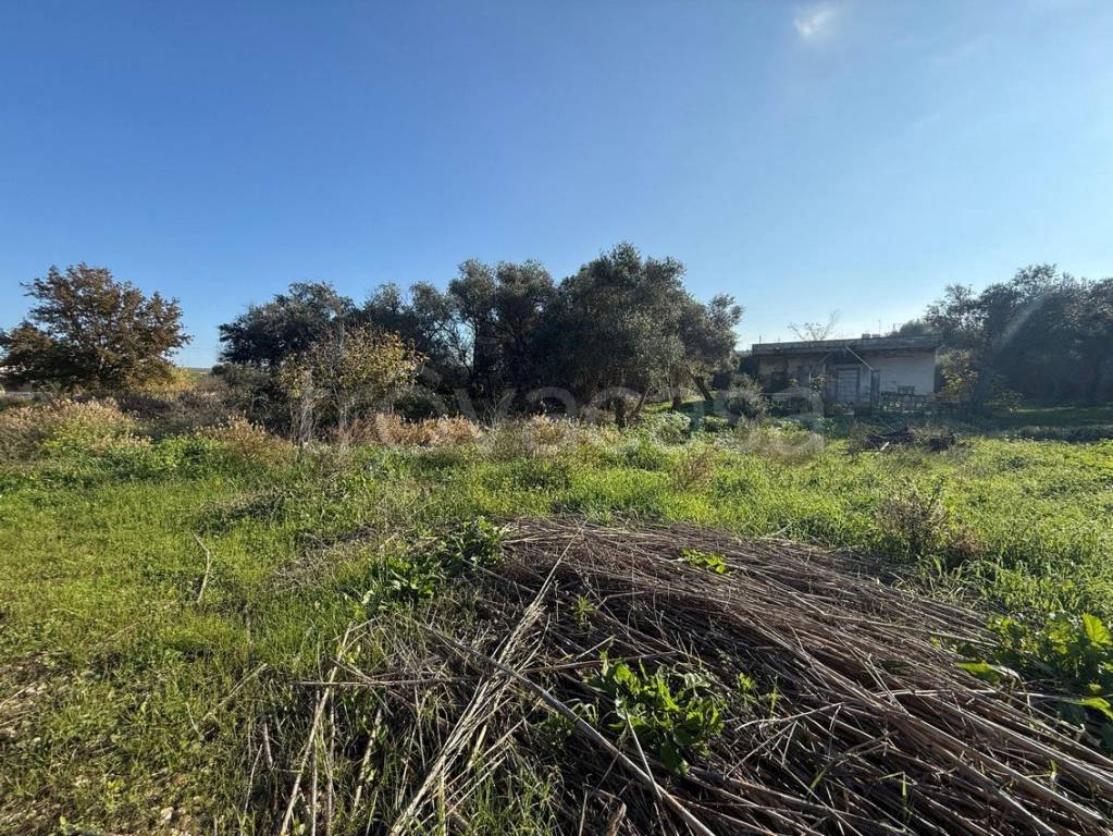 immagine annuncio 4 di 6