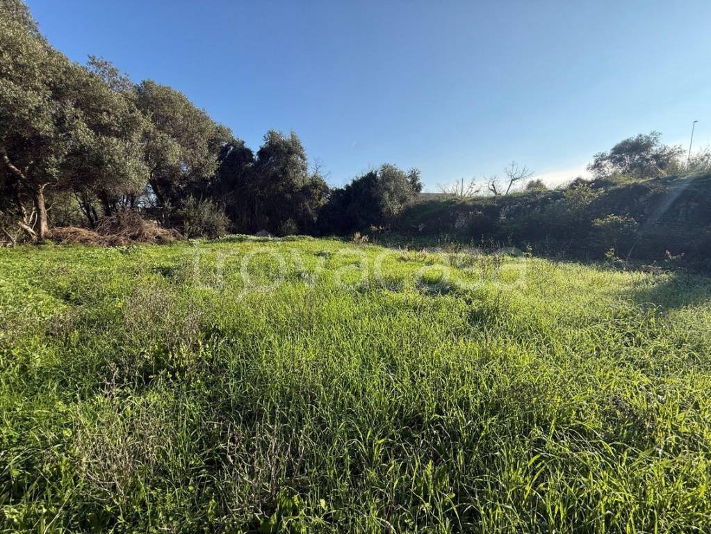 immagine annuncio 5 di 6