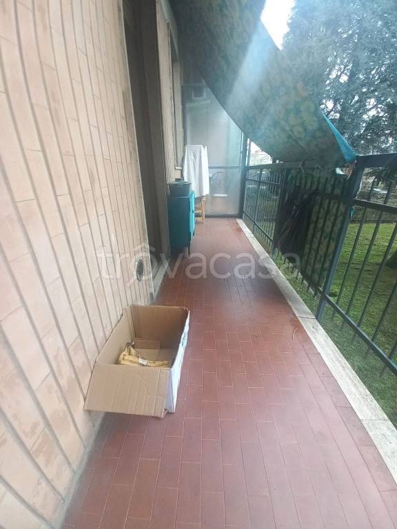 immagine annuncio 12 di 14