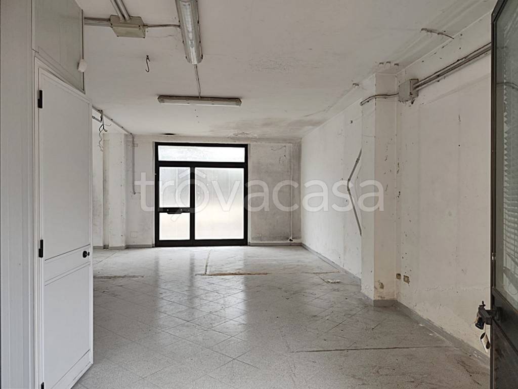 immagine annuncio 2 di 8