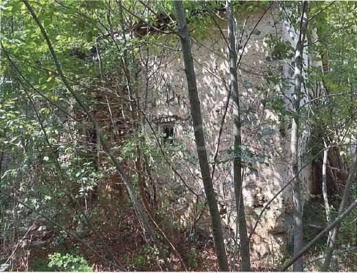 immagine annuncio 4 di 8