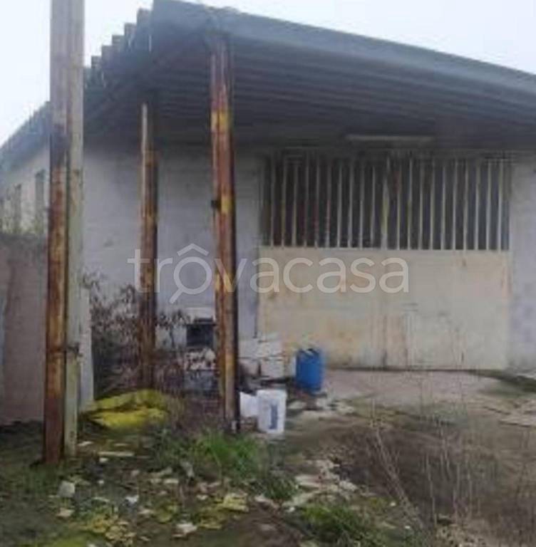 immagine annuncio 5 di 11