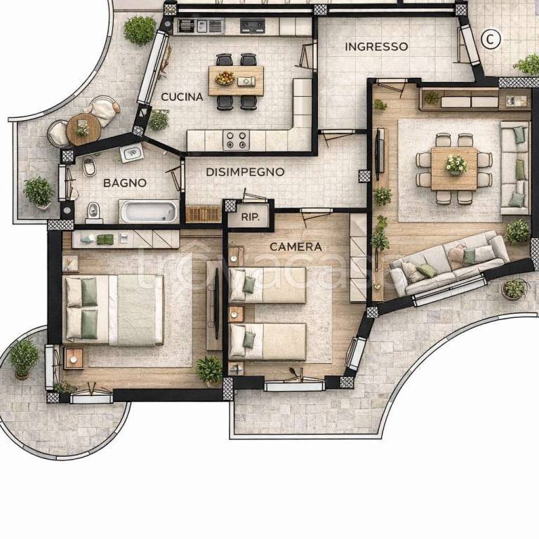 immagine annuncio 8 di 15