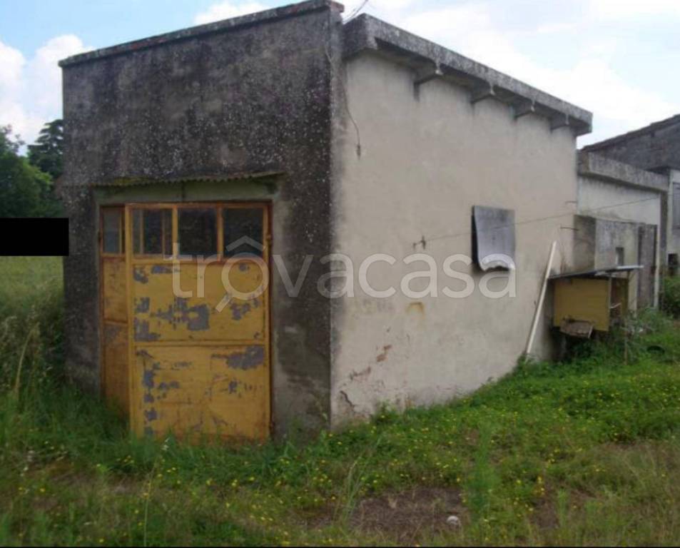 immagine annuncio 8 di 11