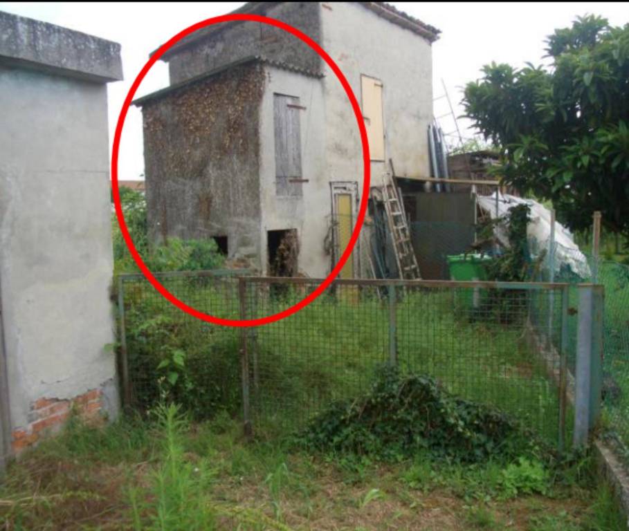 immagine annuncio 10 di 11