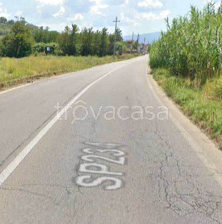 immagine annuncio 4 di 11