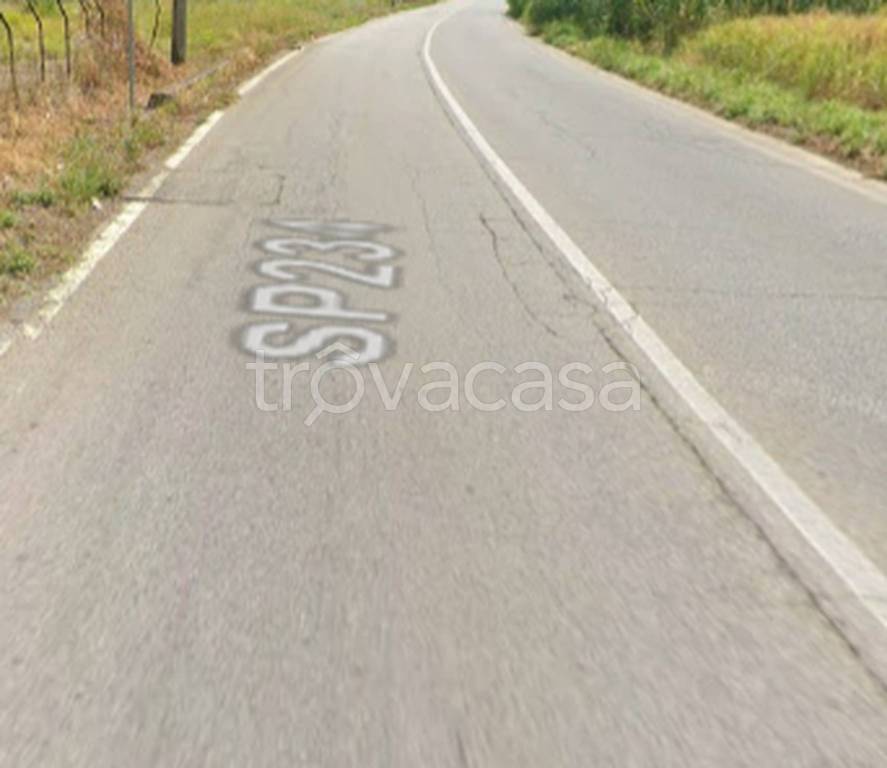 immagine annuncio 5 di 11