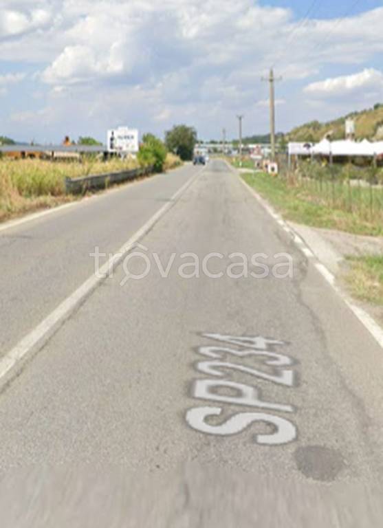 immagine annuncio 6 di 11