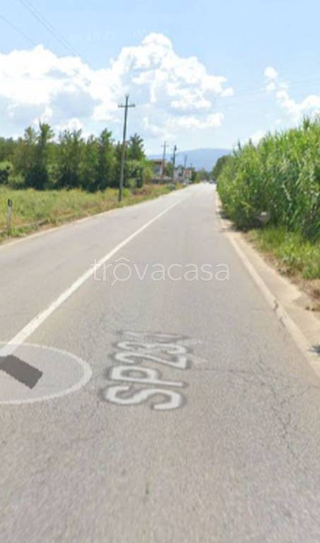 immagine annuncio 9 di 11