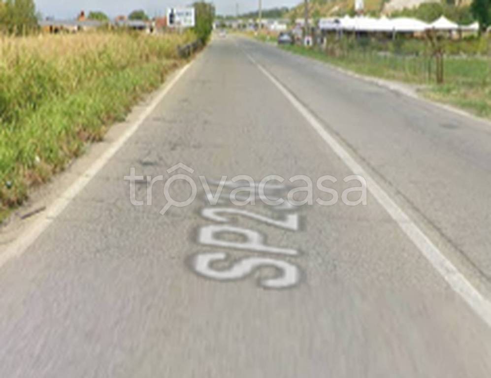 immagine annuncio 10 di 11