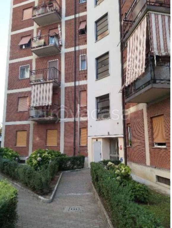 immagine annuncio 7 di 10