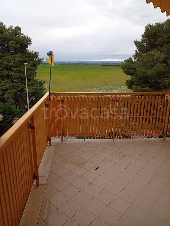 immagine annuncio 5 di 9