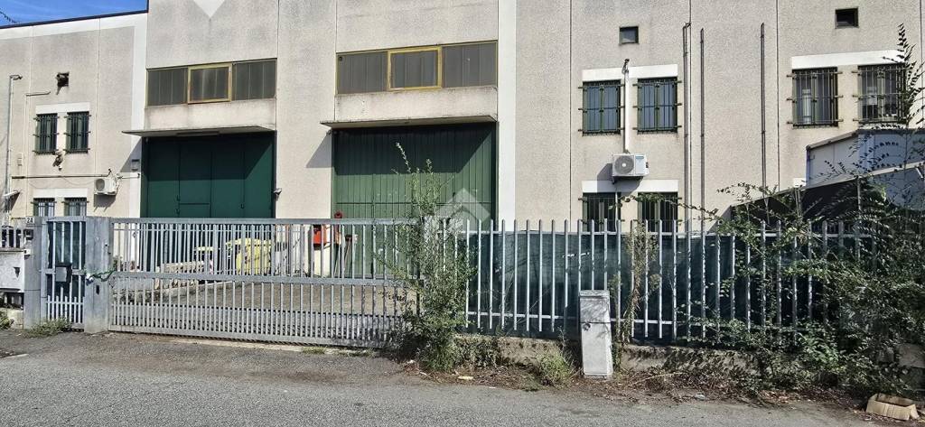 immagine annuncio 4 di 15