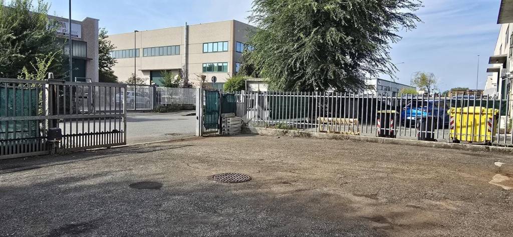 immagine annuncio 5 di 15